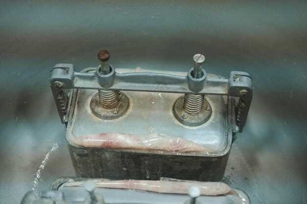 Заклинивание из-за механических повреждений или загрязнений