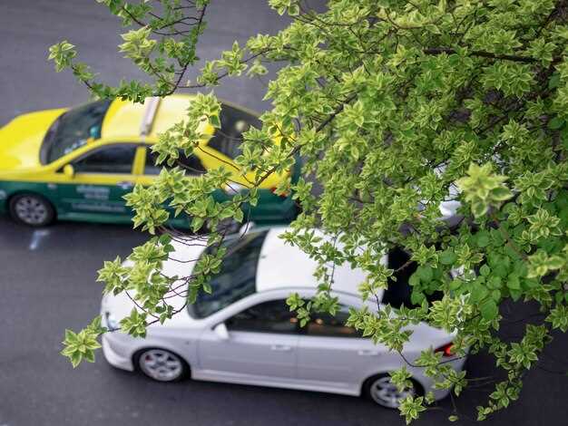 Могут ли автомобили с снятым катализатором пройти техосмотр