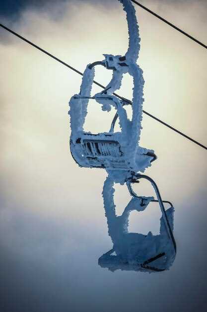 Назначение и расположение основных компонентов схемы