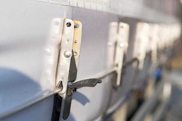 Советы по профилактике неисправностей и долговечности личинки
