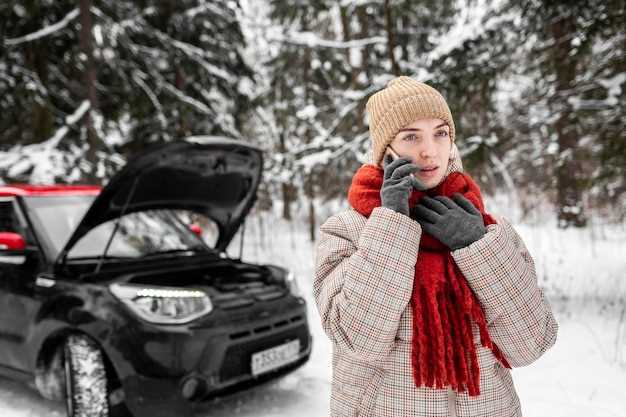 Практические меры по устранению проблем с теплообменом в Citroen Berlingo M 49