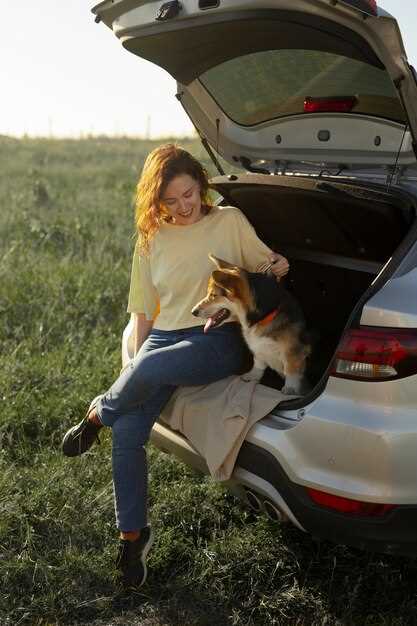 Определение и расположение предохранителя печки в Renault Fluence
